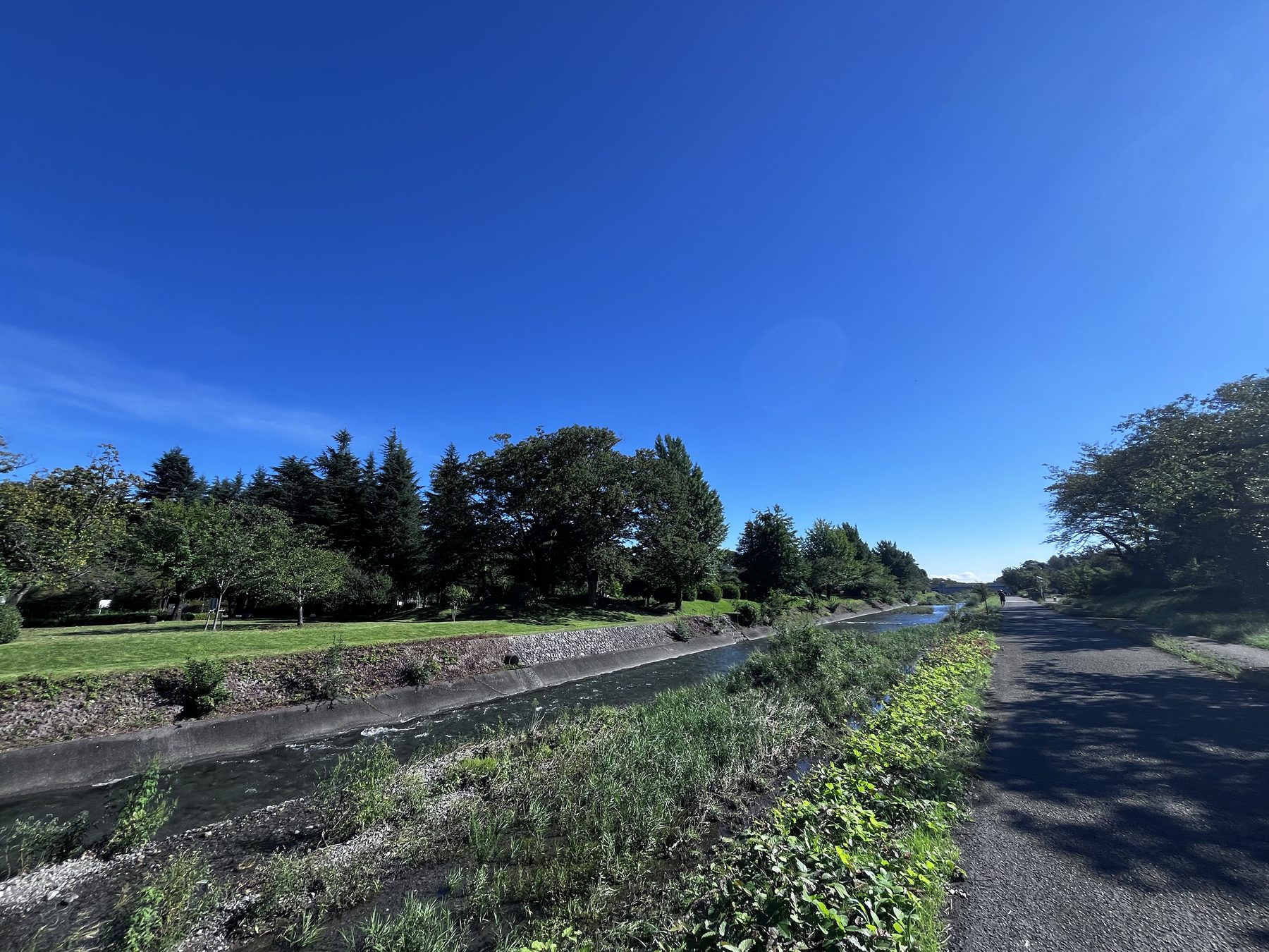 南浅川沿いの遊歩道